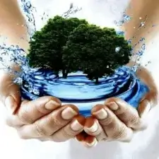 На фото руки, которые держат воду, из воды растут деревья  